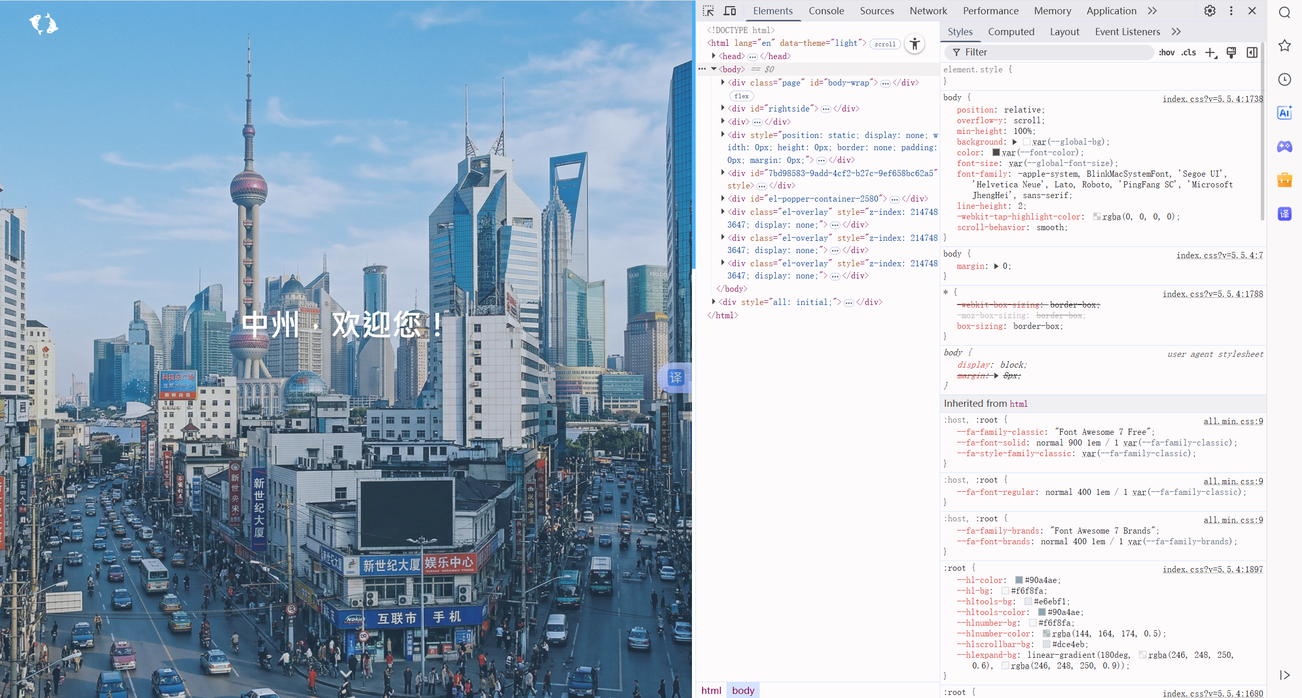 开发者工具页面